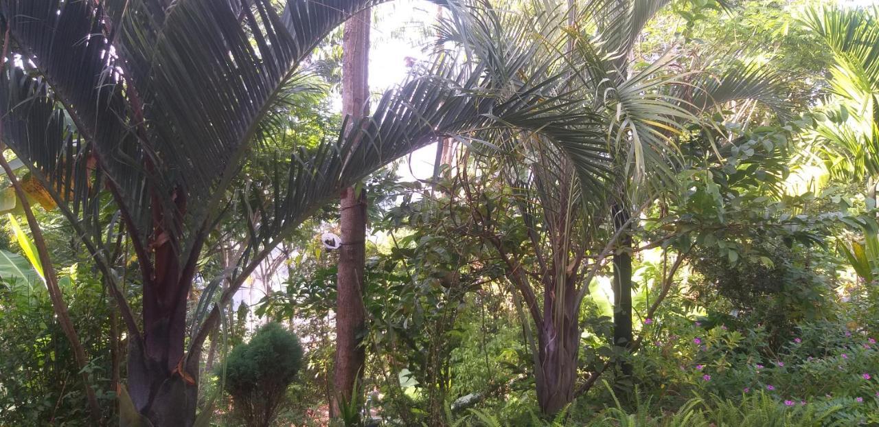 Mature Home אלה מראה חיצוני תמונה